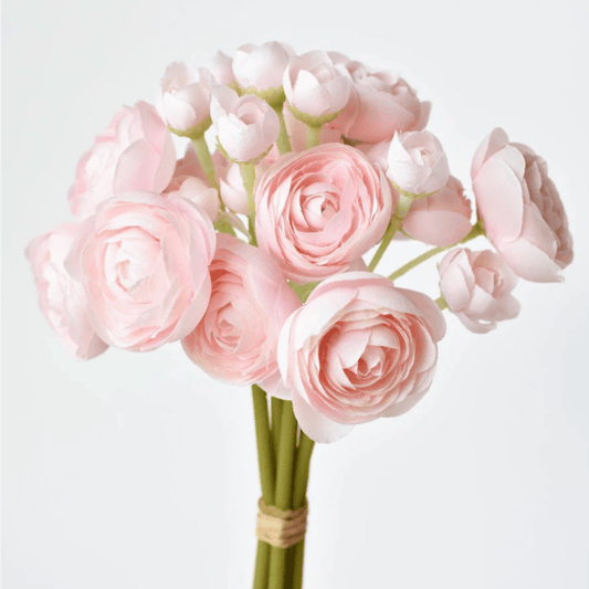 Pink Mini Ranunculus Bundle (6 Stems)